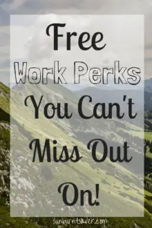 If your employer offers free work perks, you have no excuse not to take advantage of them! Some things you could be missing out on at @sunburntsaver