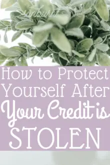What can you do after your credit is stolen? It's important to think long term whenever you hear of a data breach - here's how to handle stolen credit.