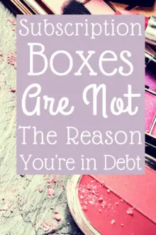 Subscription boxes are not the reason why you're still in debt, but there are times when subscription boxes do and don't make sense.