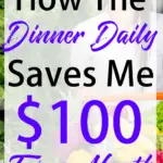 Are you looking for meals that are easy to make, budget-friendly, delicious and healthy? You should check out The Dinner Daily - my review here!