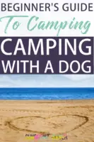 Camping With A Dog: A Beginner's Guide To Camping