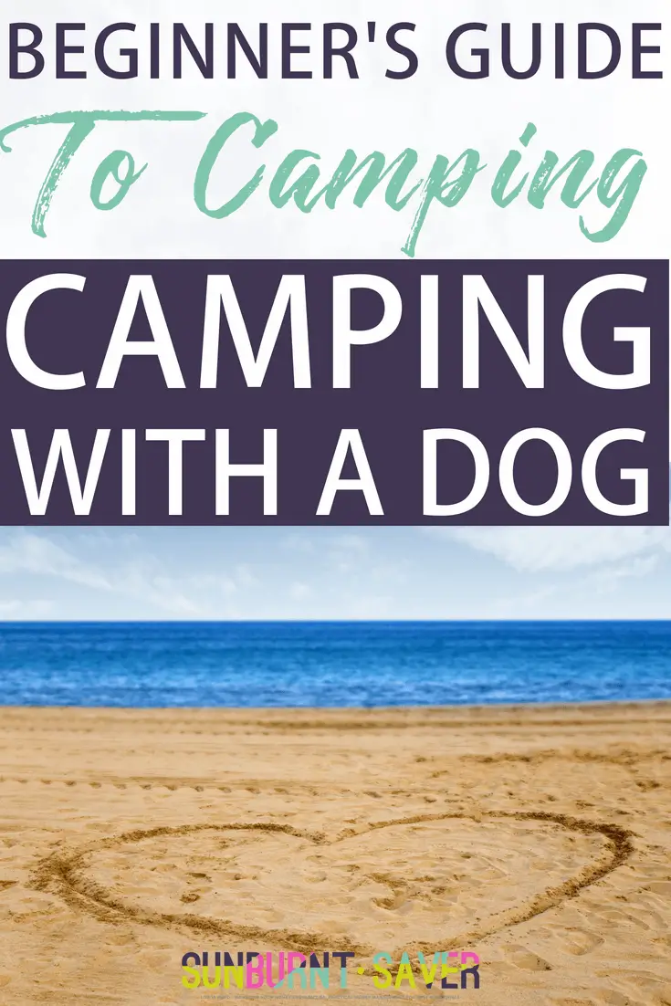 camping with a dog