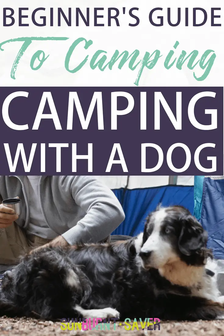 Have you ever wanted to go camping with your dog but didn\'t know what to do, where you could go, or what you would need? Your guide to camping with a dog here! #camping #campingwithadog #frugalcamping #beginnerscamping #howtocamp