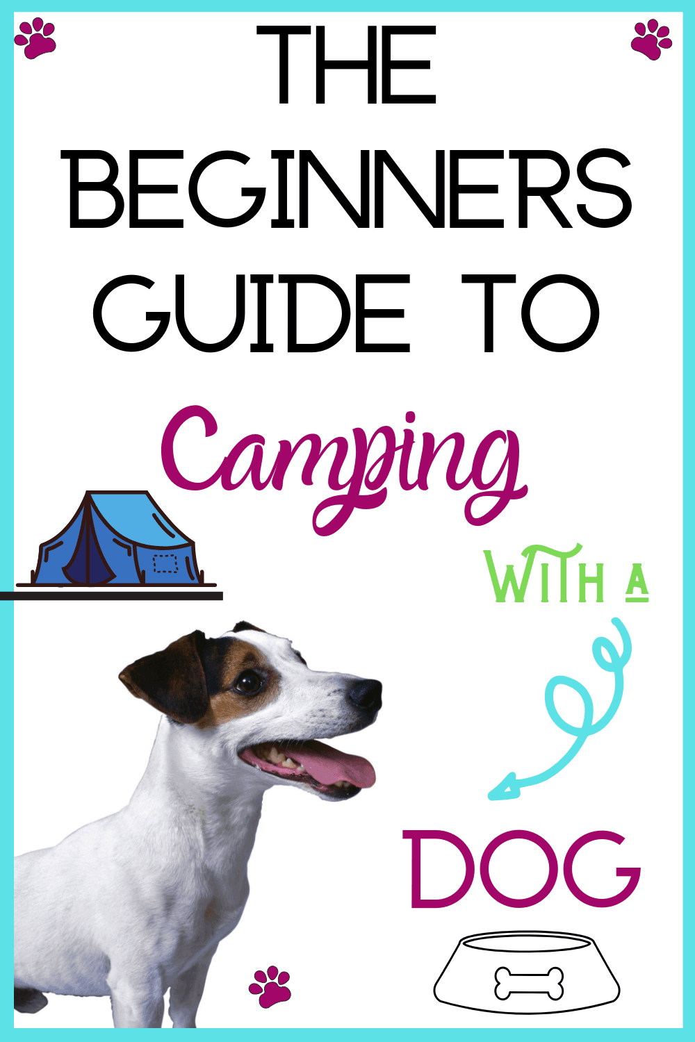 camping with a dog